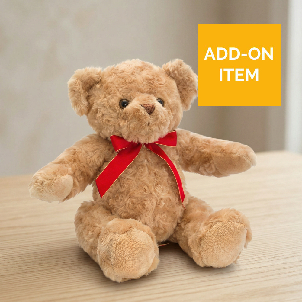 Teddy Bear Cuddly Toy